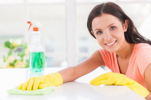 Professional oven cleaner in Kingston removing grease from a domestic oven