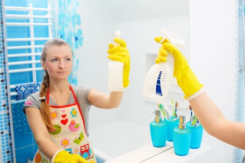Cleaning and recycling activity in Kingston with sorted reusable materials