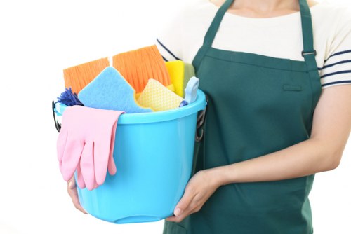 Deep cleaning in a Kingston home kitchen