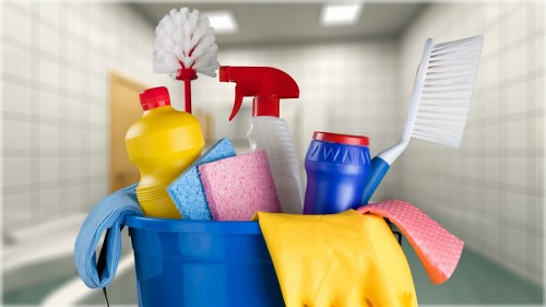 Professional Kingston cleaner preparing a spotless living space