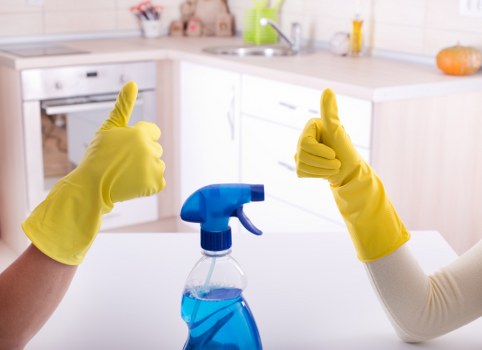 Eco-friendly oven cleaning in Kingston with specialist tools