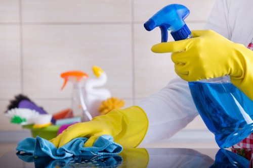 Residential cleaner in Kingston keeping a home spotless