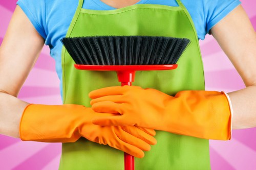 Accessibility request support information for Kingston Cleaner