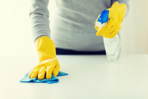 Professional one off cleaning in a Kingston home living room
