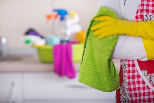Eco-friendly cleaner in Kingston using safe cleaning methods