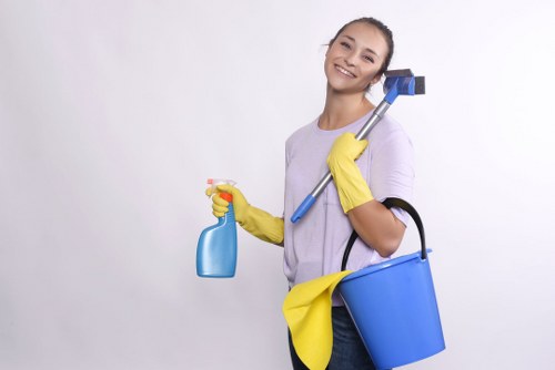 Eco-friendly cleaning company in Kingston using safe products