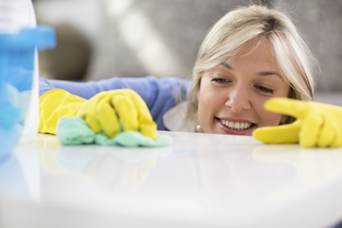 Kingston cleaners providing residential and commercial cleaning services