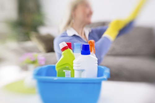 Residential hard floor cleaning for a bright Kingston home