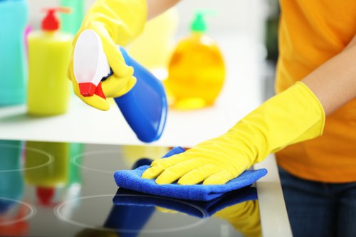 Keyboard navigation and usability support for Kingston cleaning website