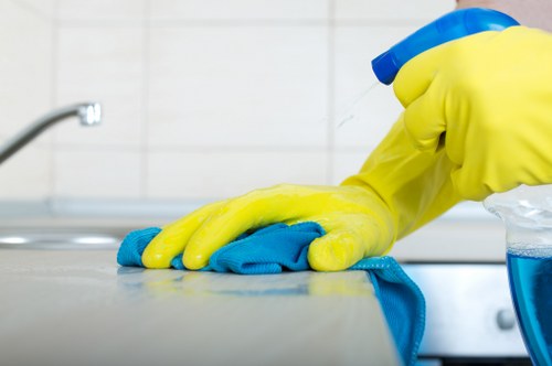 Browser settings with cookie preferences for Kingston Cleaner