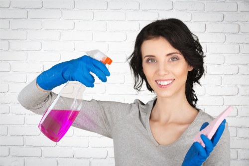 Deep cleaning tools used by cleaners in Kingston