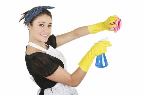 Deep oven cleaning in Kingston for a spotless kitchen appliance