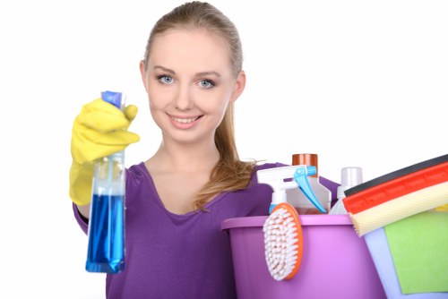 Cleaning equipment used for tenancy cleaning in Kingston