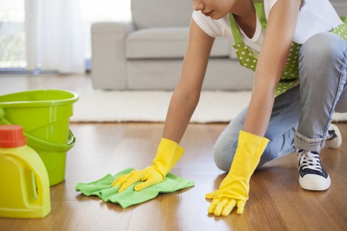 Deep carpet cleaning equipment used by a Kingston specialist